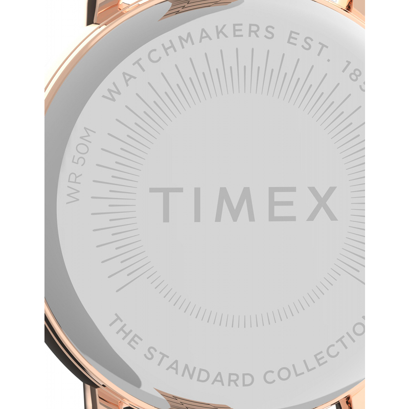 Ceas Timex Standard TW2U14000