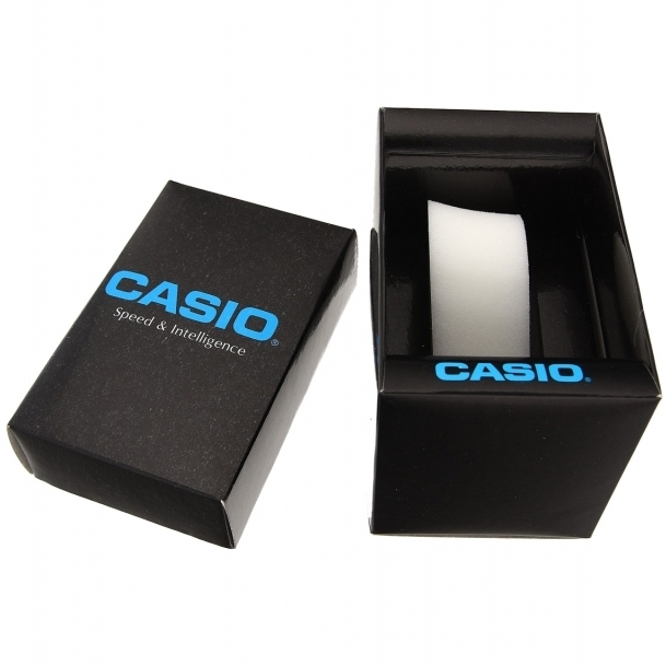 Ceas Casio Collection WS-1400H-1AVEF