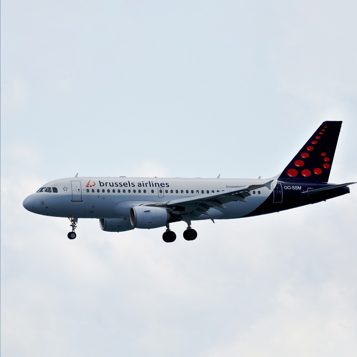 Aviationtag Brussels Airlines - Airbus A319 - OO-SSM White